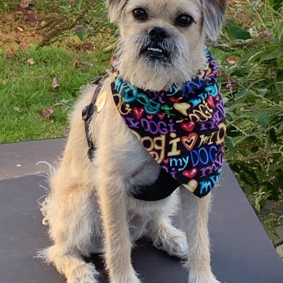 Meet your Posher, Lyn Richards Pawlowski - Picture 9 of 15